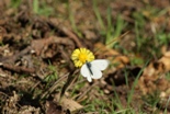 041