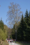 046